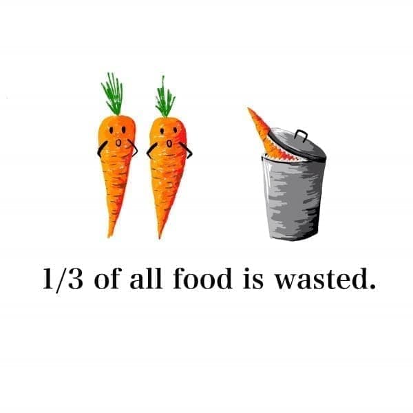 Carrots and trash can illustrating food waste statistic.