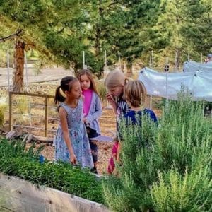 Students exploring a garden at Albuquerque Academy outdoor learning space.