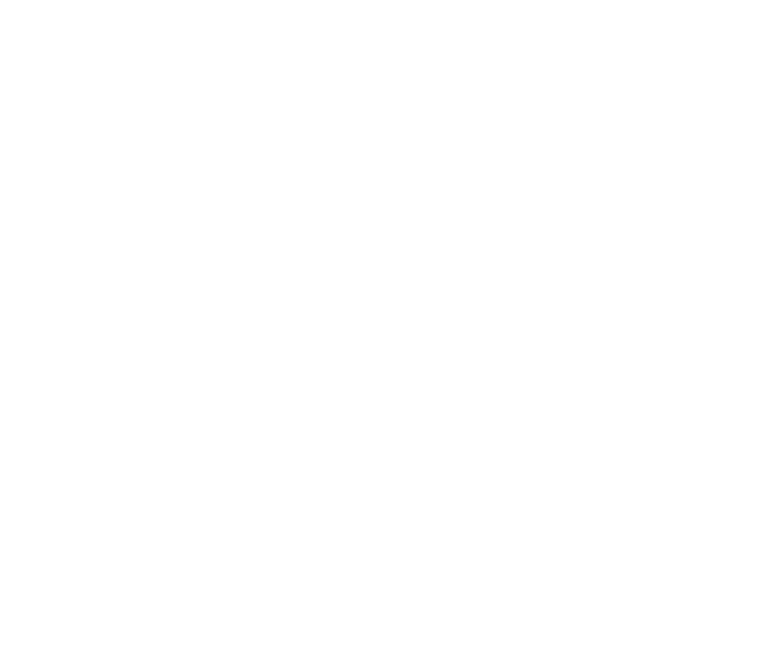Academy Logo