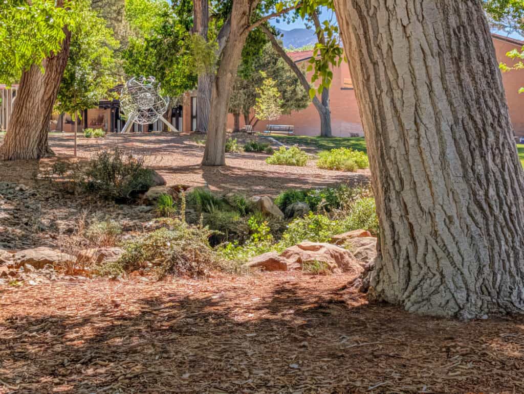 Albuquerque Academy campus with trees and natural landscape for sustainability education.
