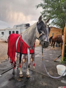 Horse wearing armor and red blanket at Albuquerque Academy event.